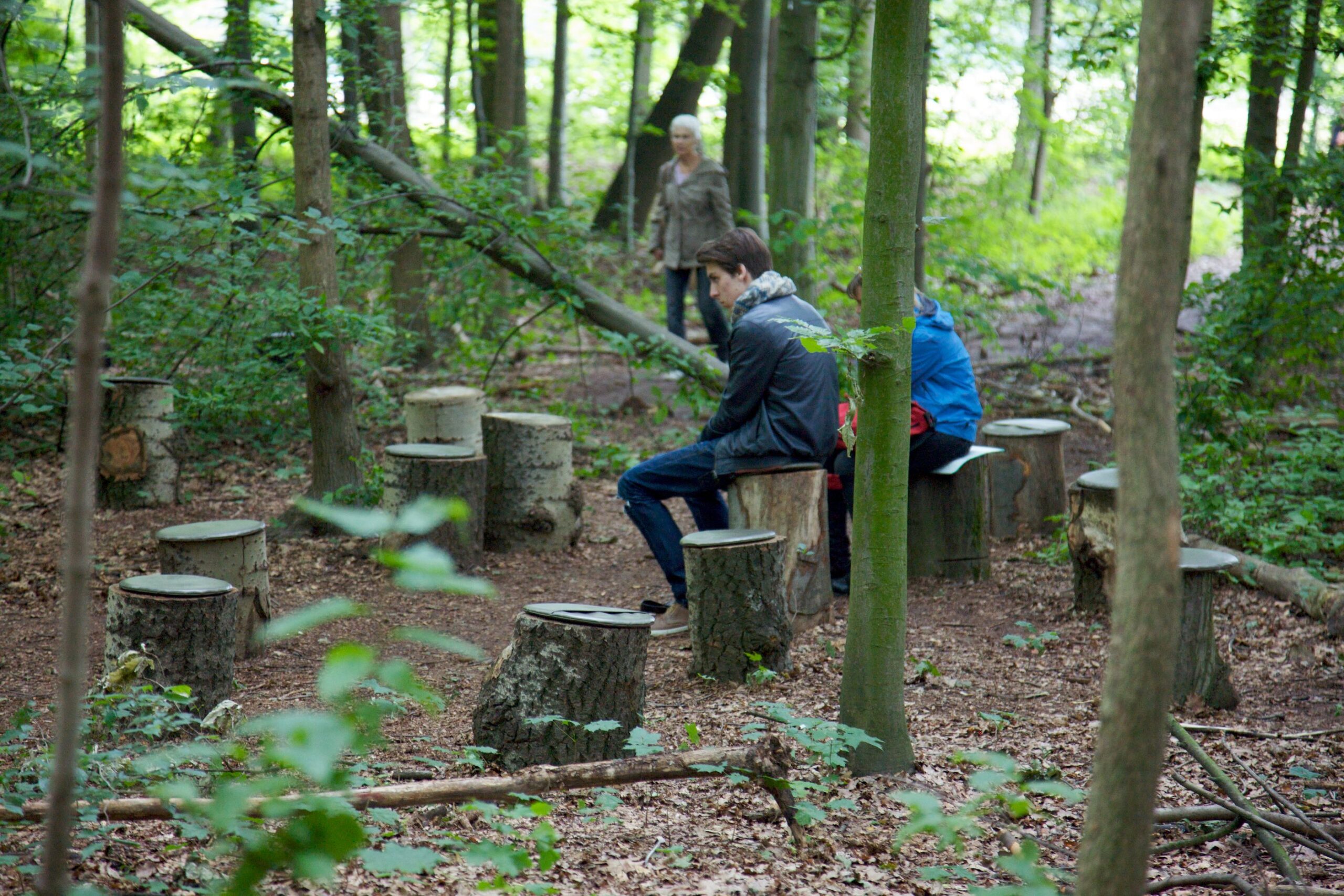 FOREST (for a thousand years…), 201222–channel outdoor audio Installation, Duration: 28 minute loop Commissioner: Curated by Carolyn Christov-Bakargiev for dOCUMENTA (13), Kassel, Germany. © Janet Cardiff and George Bures Miller; Courtesy the artists and Luhring Augustine, New York.